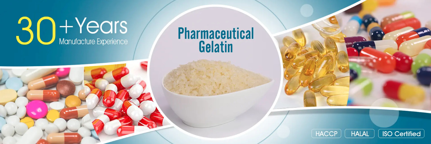 kwaliteit Gelatine fabriek