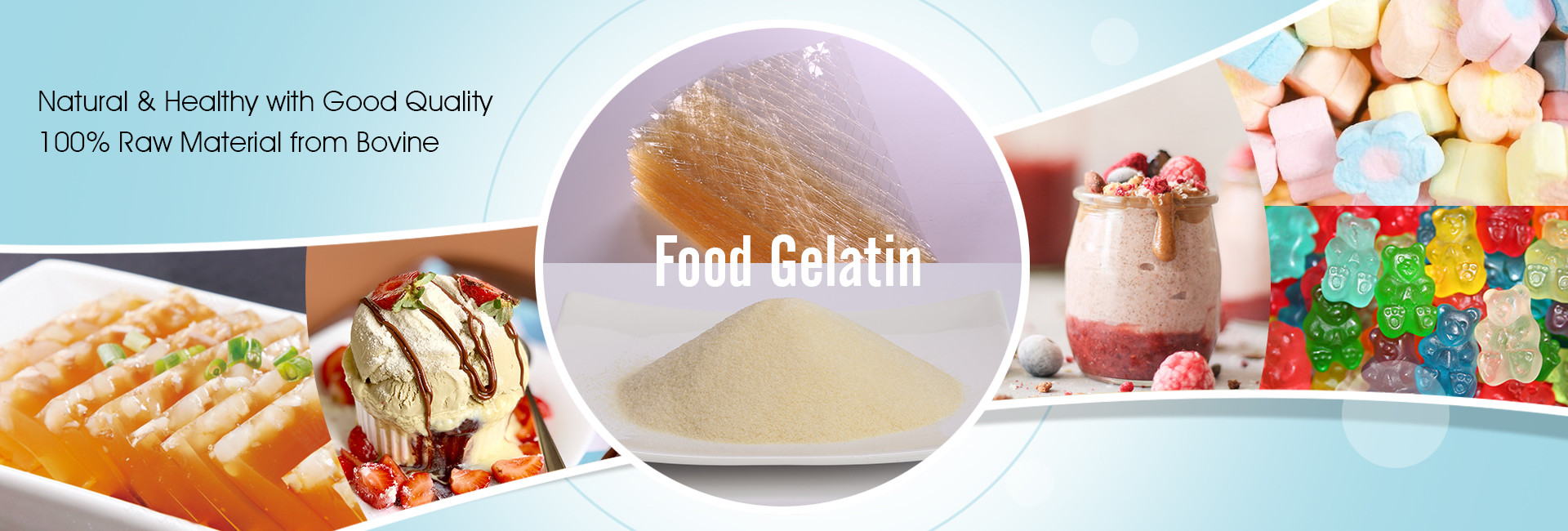 kwaliteit Gelatine fabriek