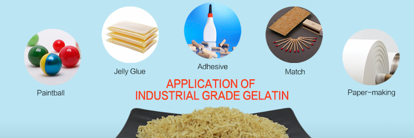 kwaliteit Gelatine fabriek
